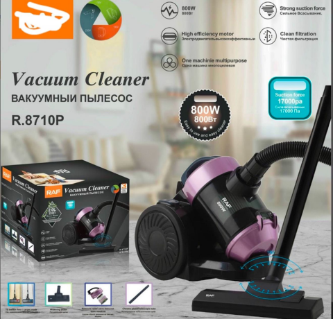 Aspirator Profesional RAF 800W, cu cablu, capaitate colectare 2L